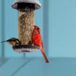 Bowls & Feeding Barrels