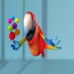 Bird Toys