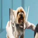 Brushes & Trimmers